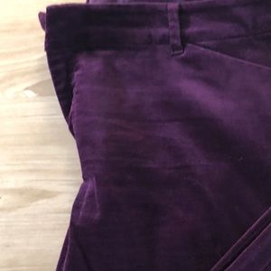 Wine colored velvet pants